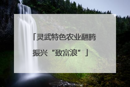 灵武特色农业翻腾振兴“致富浪”