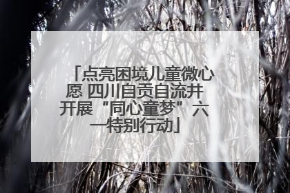点亮困境儿童微心愿 四川自贡自流井开展“同心童梦”六一特别行动