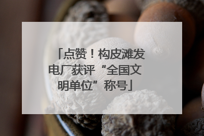 点赞！构皮滩发电厂获评“全国文明单位”称号