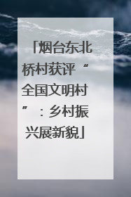 烟台东北桥村获评“全国文明村”：乡村振兴展新貌
