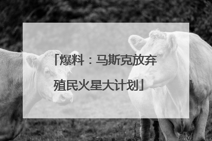 爆料：马斯克放弃殖民火星大计划