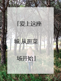 爱上这座城 从逛菜场开始
