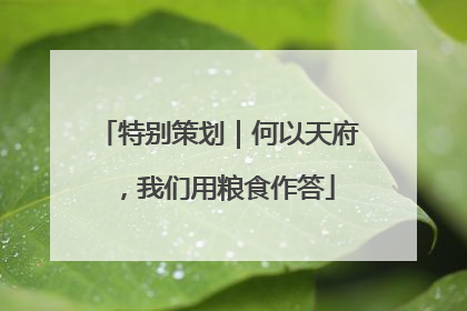 特别策划｜何以天府，我们用粮食作答