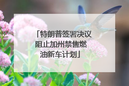 特朗普签署决议 阻止加州禁售燃油新车计划