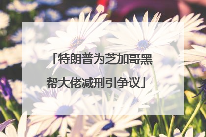 特朗普为芝加哥黑帮大佬减刑引争议