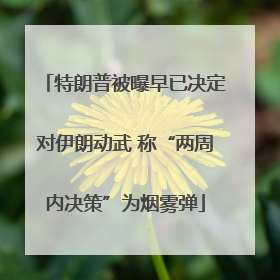 特朗普被曝早已决定对伊朗动武 称“两周内决策”为烟雾弹