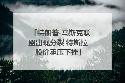 特朗普-马斯克联盟出现分裂 特斯拉股价承压下挫
