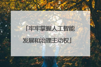 牢牢掌握人工智能发展和治理主动权