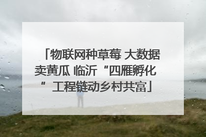 物联网种草莓 大数据卖黄瓜 临沂“四雁孵化”工程链动乡村共富