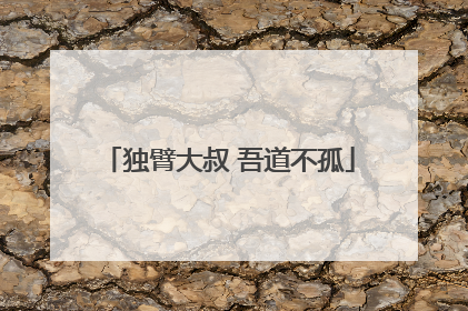 独臂大叔 吾道不孤