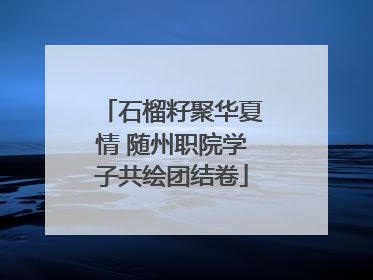 石榴籽聚华夏情 随州职院学子共绘团结卷