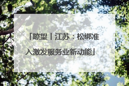 瞭望丨江苏：松绑准入激发服务业新动能
