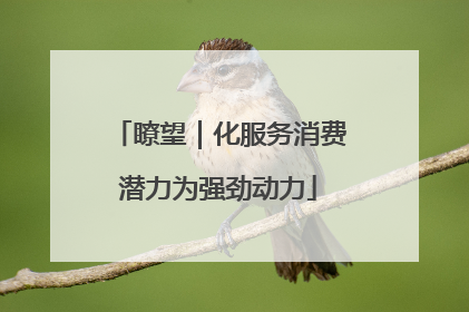 瞭望｜化服务消费潜力为强劲动力