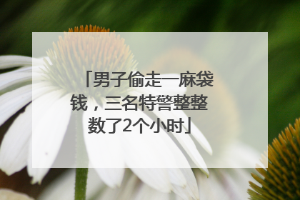 男子偷走一麻袋钱，三名特警整整数了2个小时