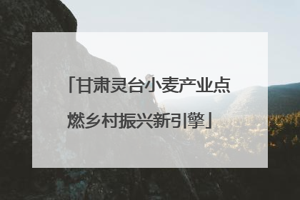 甘肃灵台小麦产业点燃乡村振兴新引擎