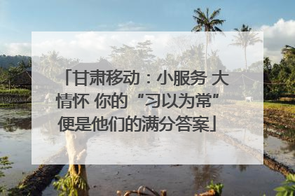 甘肃移动：小服务 大情怀 你的“习以为常”便是他们的满分答案