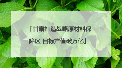 甘肃打造战略原材料保障区 目标产值破万亿