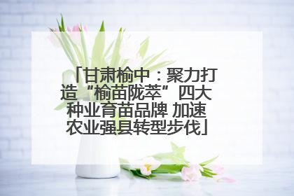 甘肃榆中：聚力打造“榆苗陇萃”四大种业育苗品牌 加速农业强县转型步伐