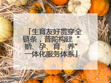 生育友好贯穿全链条，普陀构建“婚、孕、育、养”一体化服务体系