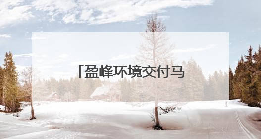 盈峰环境交付马来西亚首批纯电动垃圾压缩车