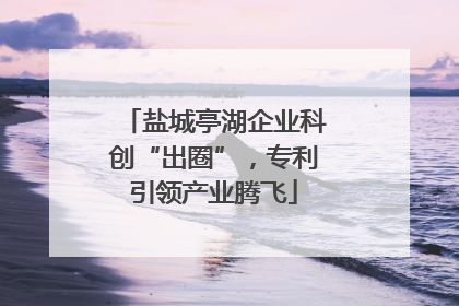 盐城亭湖企业科创“出圈”，专利引领产业腾飞