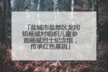 盐城市盐都区龙冈镇杨斌村组织儿童参观杨斌烈士纪念馆，传承红色基因