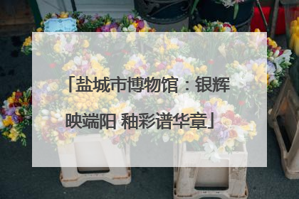 盐城市博物馆：银辉映端阳 釉彩谱华章