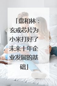 盘和林：玄戒芯片为小米打好了未来十年企业发展的基础