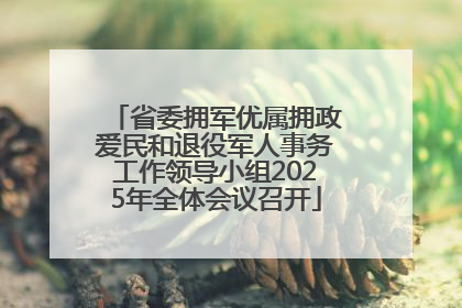 省委拥军优属拥政爱民和退役军人事务工作领导小组2025年全体会议召开