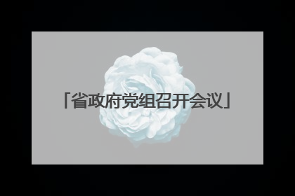 省政府党组召开会议