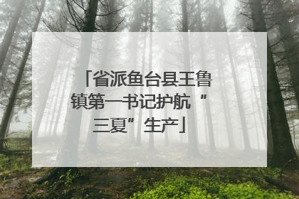 省派鱼台县王鲁镇第一书记护航“三夏”生产
