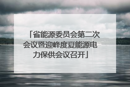 省能源委员会第二次会议暨迎峰度夏能源电力保供会议召开