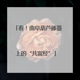 看！曲阜葫芦藤蔓上的“共富经”