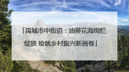 禹城市中街道：油葵花海绚烂绽放 绘就乡村振兴新画卷