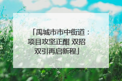 禹城市市中街道：项目攻坚正酣 双招双引再启新程