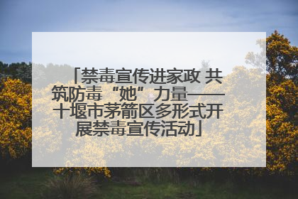 禁毒宣传进家政 共筑防毒“她”力量——十堰市茅箭区多形式开展禁毒宣传活动