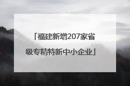 福建新增207家省级专精特新中小企业