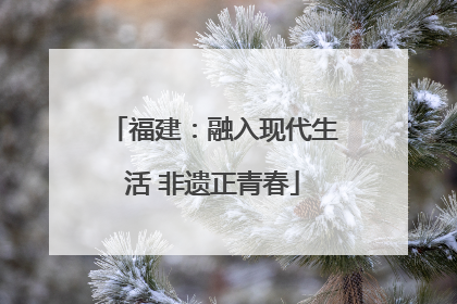 福建：融入现代生活 非遗正青春