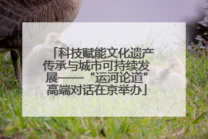 科技赋能文化遗产传承与城市可持续发展——“运河论道”高端对话在京举办