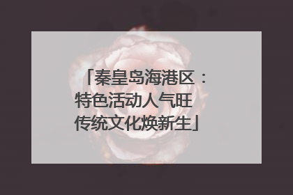 秦皇岛海港区：特色活动人气旺 传统文化焕新生