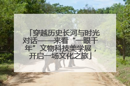 穿越历史长河与时光对话——来看“一眼千年”文物科技美学展，开启一场文化之旅