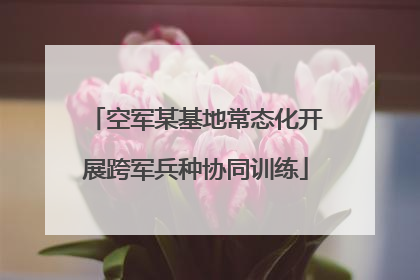 空军某基地常态化开展跨军兵种协同训练