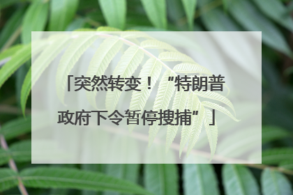 突然转变！“特朗普政府下令暂停搜捕”