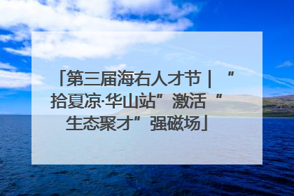 第三届海右人才节｜“拾夏凉·华山站”激活“生态聚才”强磁场
