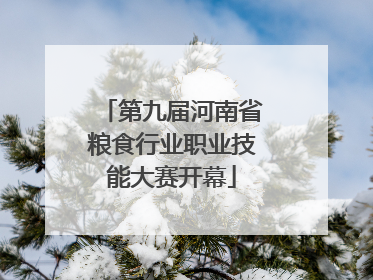 第九届河南省粮食行业职业技能大赛开幕