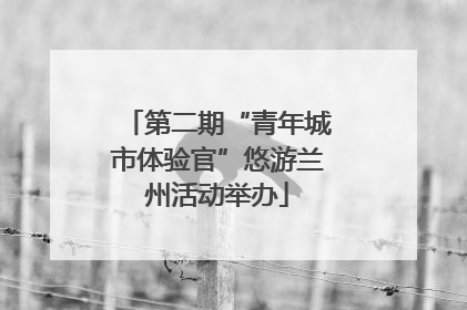 第二期“青年城市体验官”悠游兰州活动举办