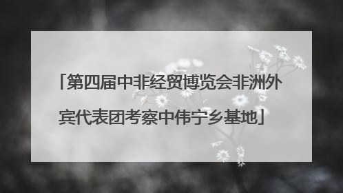 第四届中非经贸博览会非洲外宾代表团考察中伟宁乡基地