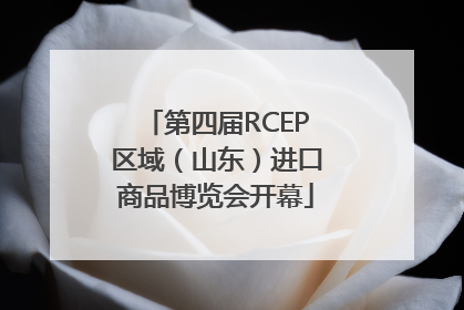 第四届RCEP区域（山东）进口商品博览会开幕