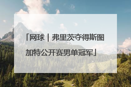 网球｜弗里茨夺得斯图加特公开赛男单冠军