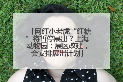 网红小老虎“红糖”将暂停展出？上海动物园：展区改建，会安排展出计划